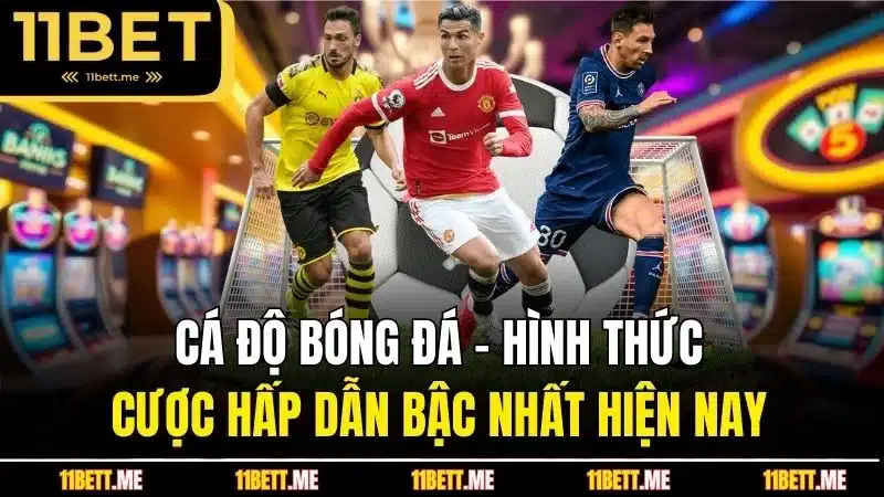 cá độ bóng đá