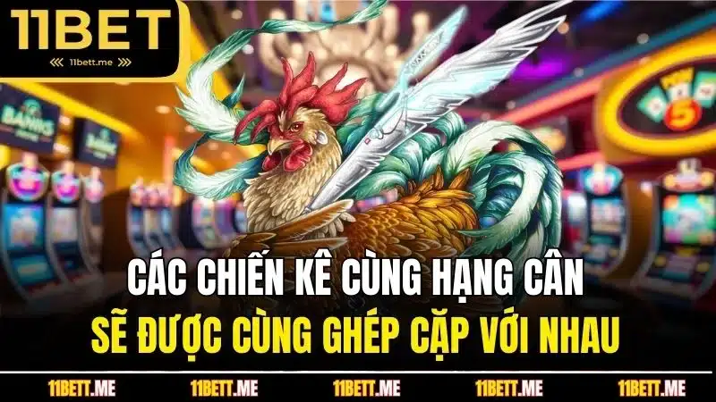 Các chiến kê cùng hạng cân sẽ được cùng ghép cặp với nhau