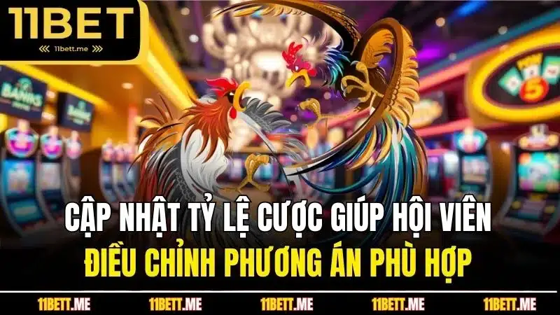 Cập nhật tỷ lệ cược giúp hội viên điều chỉnh phương án phù hợp