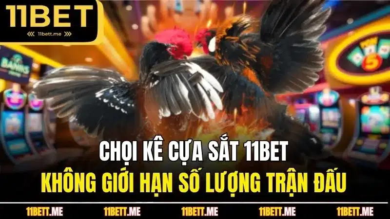 Chọi kê cựa sắt 11BET không giới hạn số lượng trận đấu