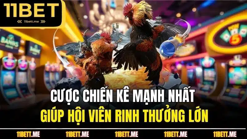 Cược chiến kê mạnh nhất giúp hội viên rinh thưởng lớn