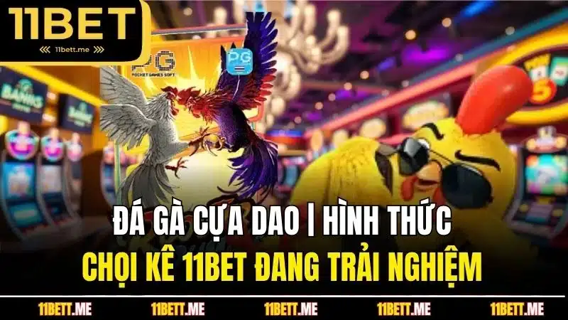 đá gà cựa dao