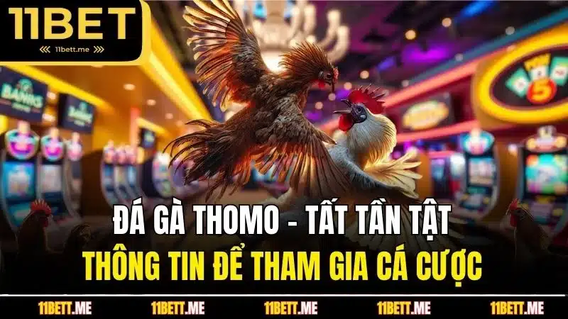 đá gà thomo