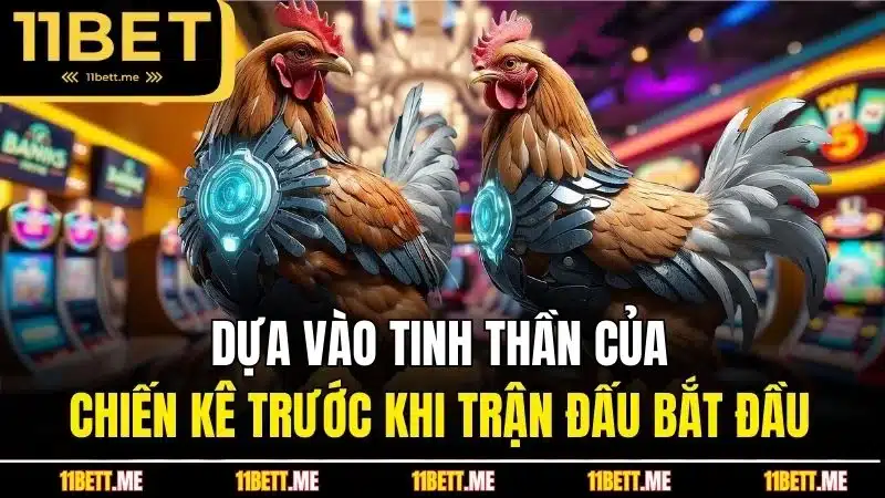 Dựa vào tinh thần của chiến kê trước khi trận đấu bắt đầu