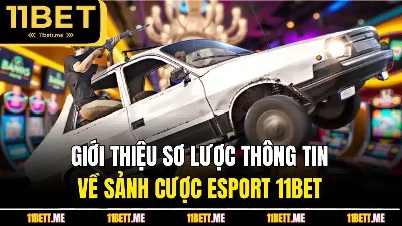 Giới thiệu sơ lược thông tin về sảnh cược Esport 11BET