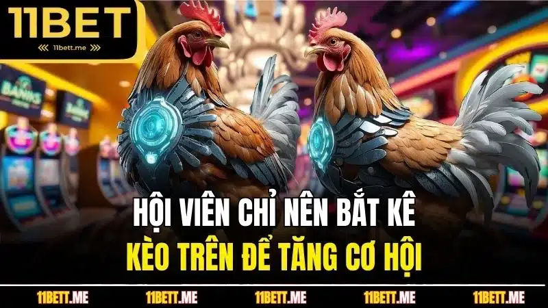 Hội viên chỉ nên bắt kê kèo trên để tăng cơ hội