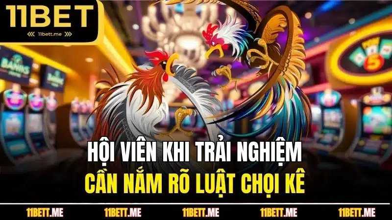Hội viên khi trải nghiệm cần nắm rõ luật chọi kê