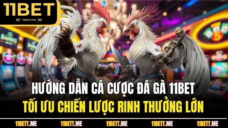 hướng dẫn cá cược đá gà