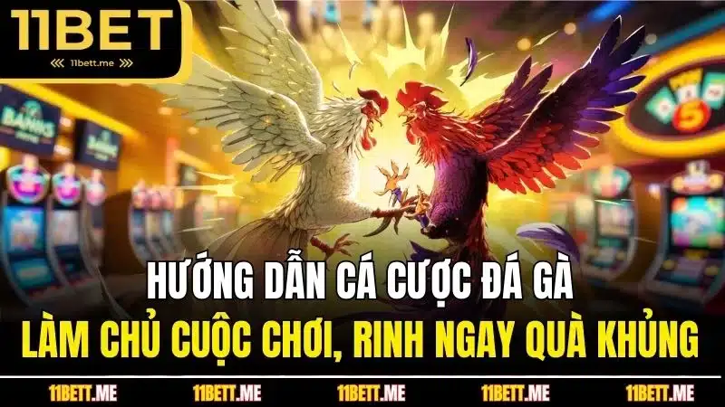 Hướng dẫn cá cược đá gà - Làm chủ cuộc chơi, rinh ngay quà khủng