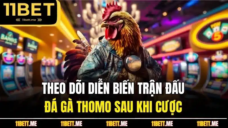 Theo dõi diễn biến trận đấu đá gà Thomo sau khi cược