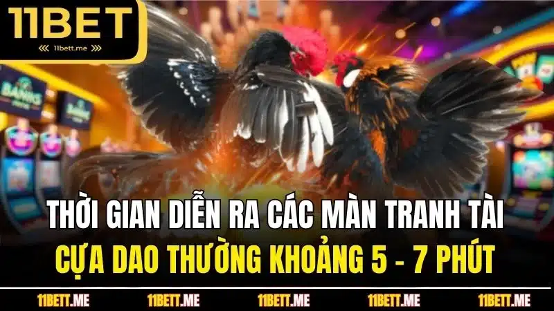 Thời gian diễn ra các màn tranh tài cựa dao thường khoảng 5 - 7 phút
