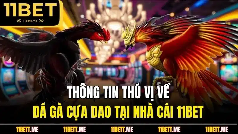 Thông tin thú vị về đá gà cựa dao tại nhà cái 11BET