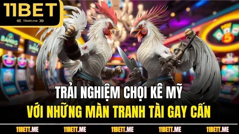 Trải nghiệm chọi kê Mỹ với những màn tranh tài gay cấn